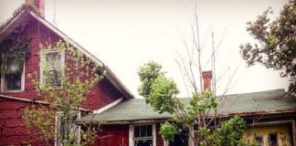 Kvinden fotograferer et forladt hus. Men hun havde ikke forventet at finde dette, da hun gik ind!